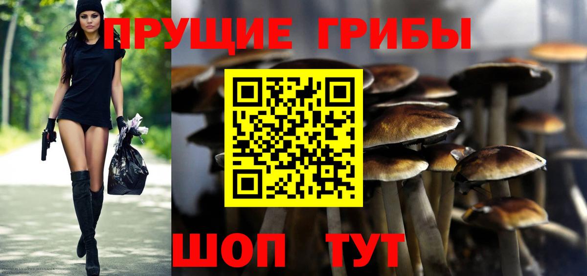 Галлюциногенные грибы ЛСД Гурьевск