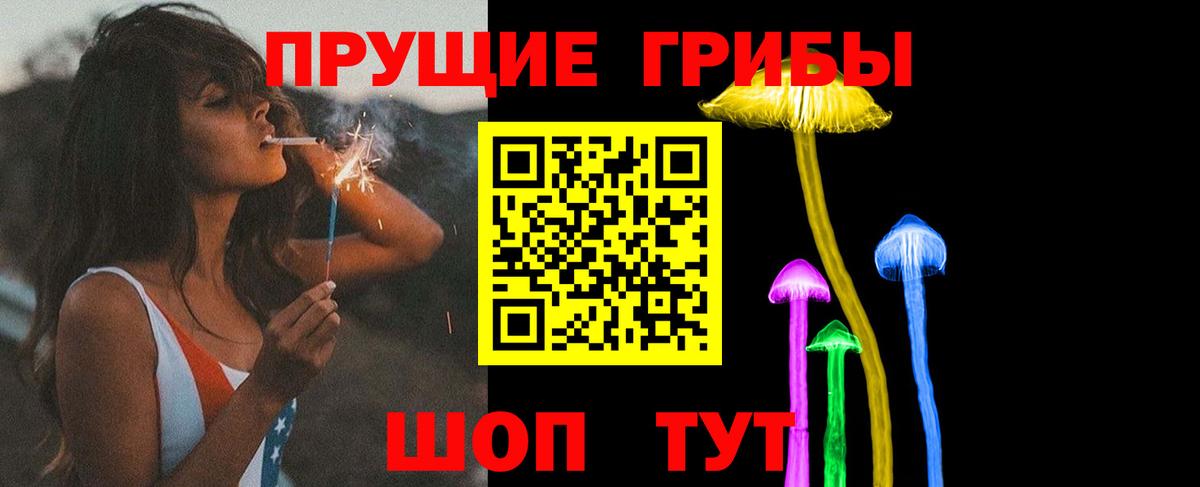Галлюциногенные грибы ЛСД  Вход с VPN  Галлюциногенные грибы ЛСД  Гурьевск 